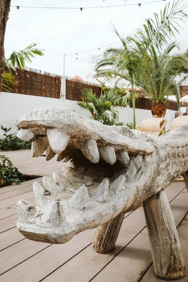הוסטל קורלחו Dreamsea Surf House Fuerteventura מראה חיצוני תמונה